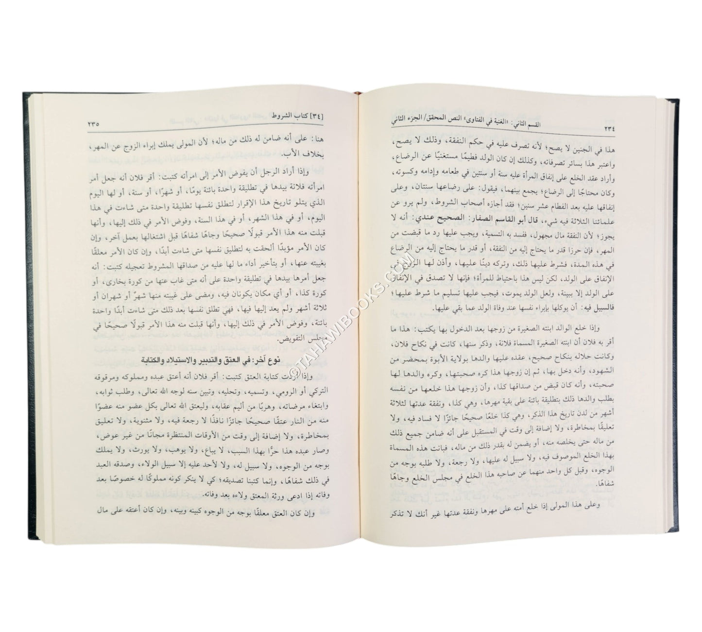 الغنية في الفتاوى على مذهب الإمام الأعظم أبي حنيفة