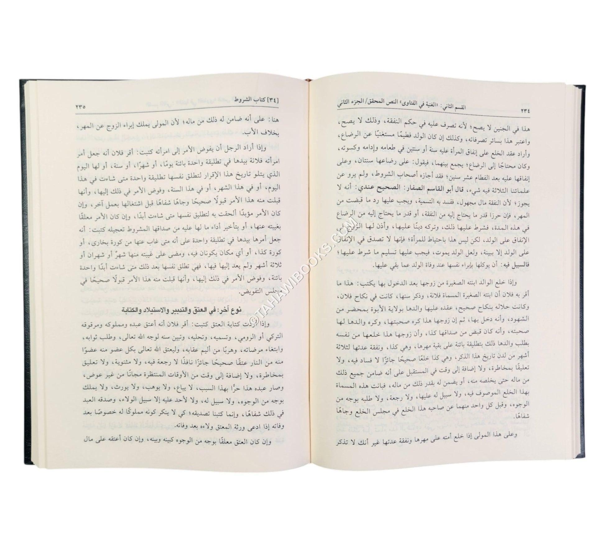 الغنية في الفتاوى على مذهب الإمام الأعظم أبي حنيفة
