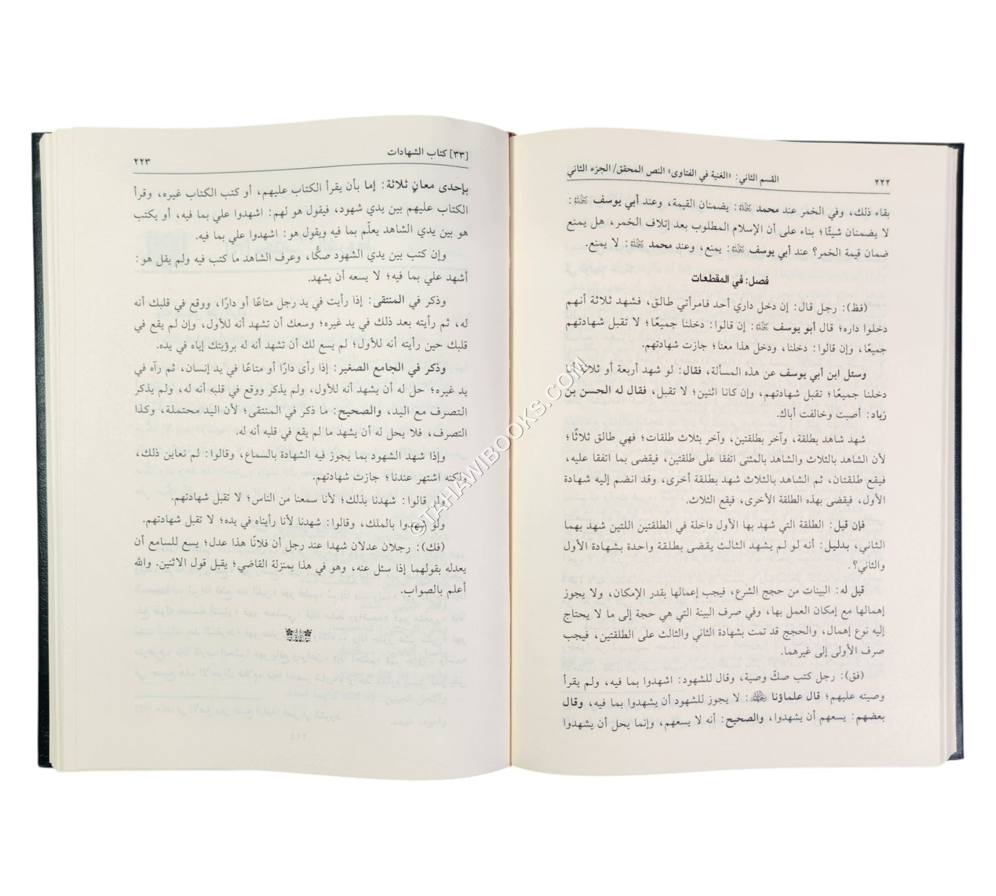 الغنية في الفتاوى على مذهب الإمام الأعظم أبي حنيفة