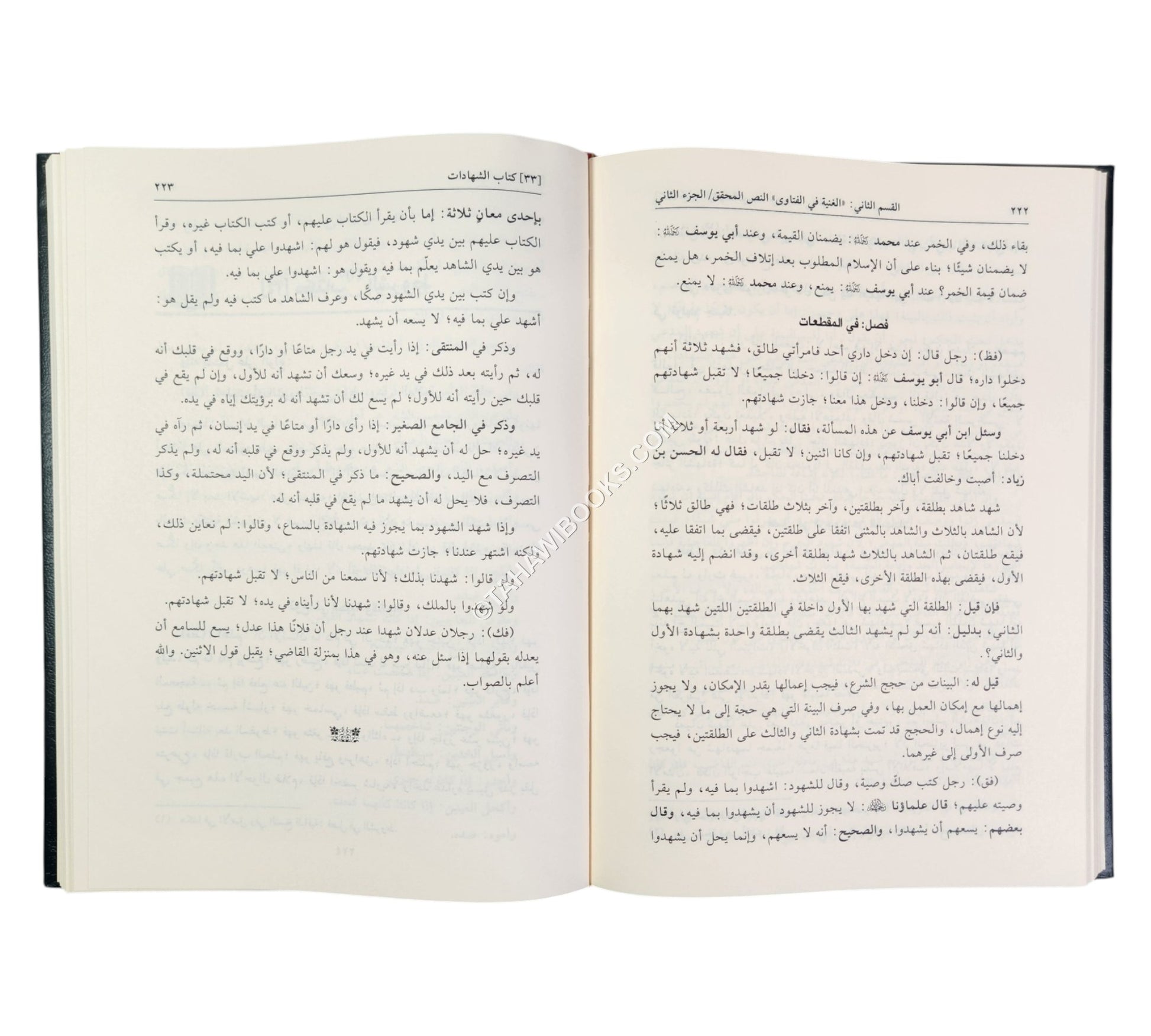 الغنية في الفتاوى على مذهب الإمام الأعظم أبي حنيفة
