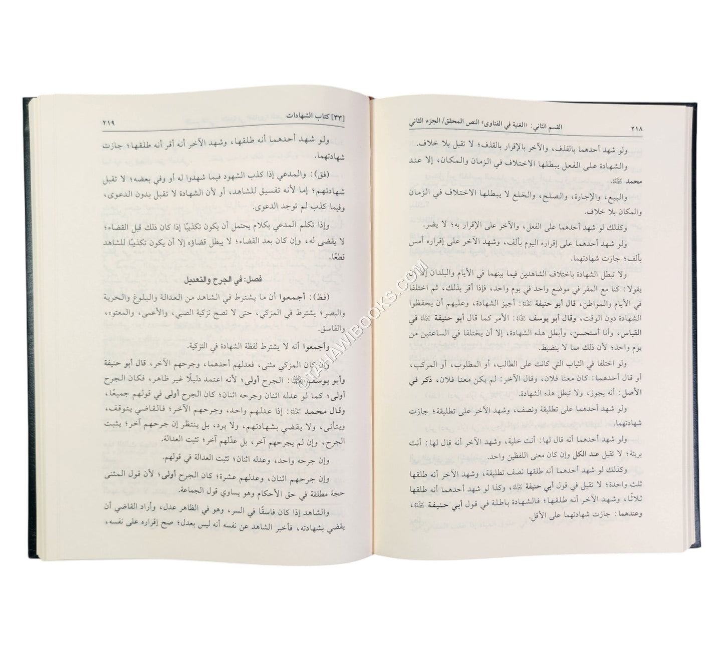 الغنية في الفتاوى على مذهب الإمام الأعظم أبي حنيفة