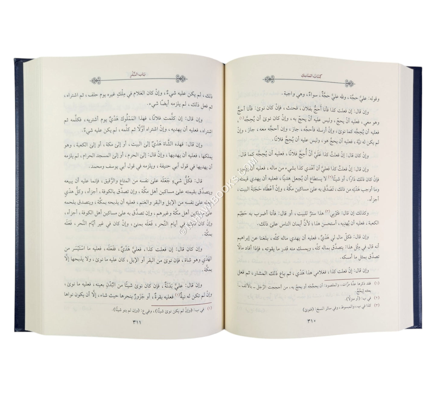 المختصر الكافي للحاكم الشهيد