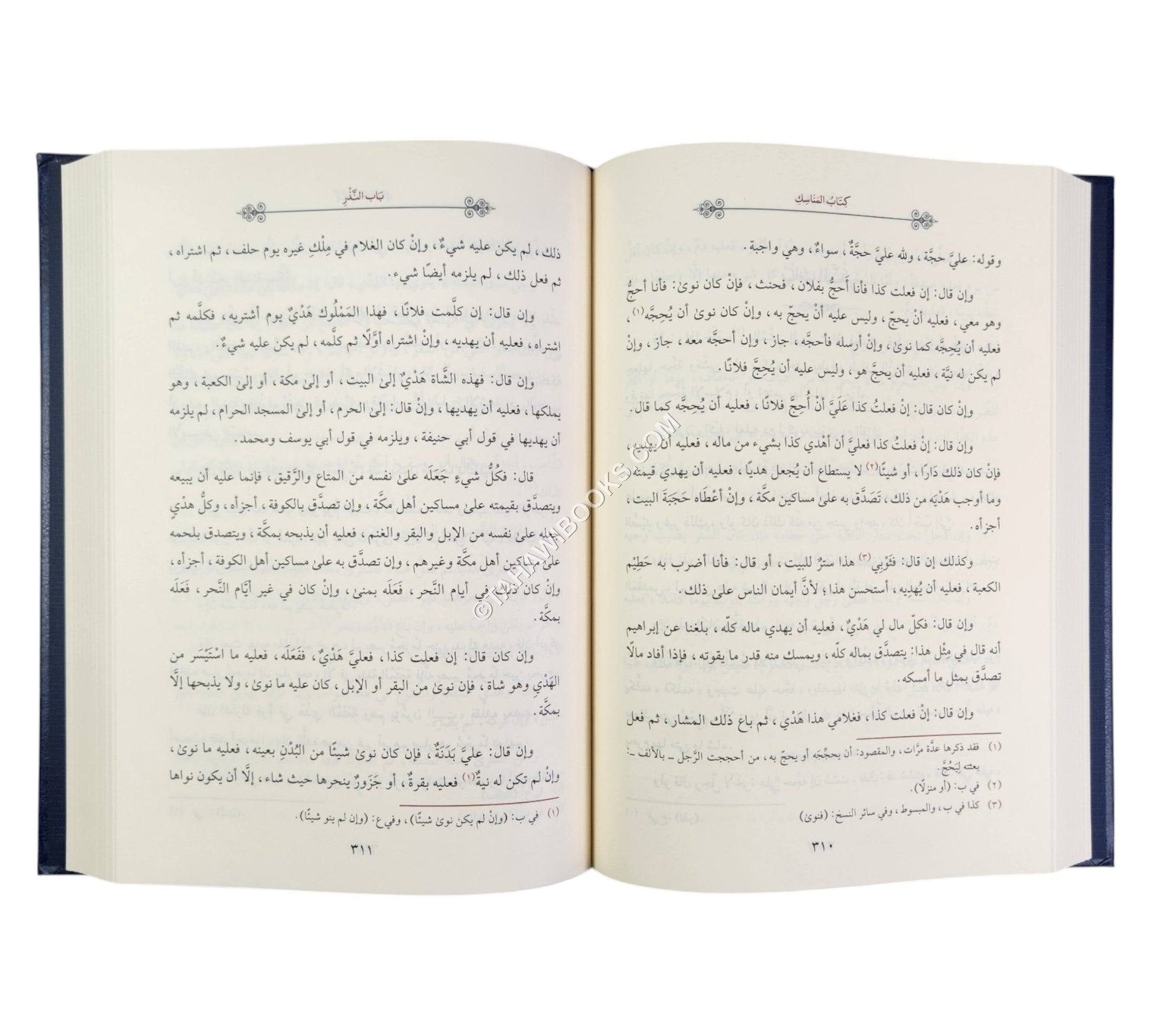 المختصر الكافي للحاكم الشهيد