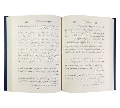 المختصر الكافي للحاكم الشهيد