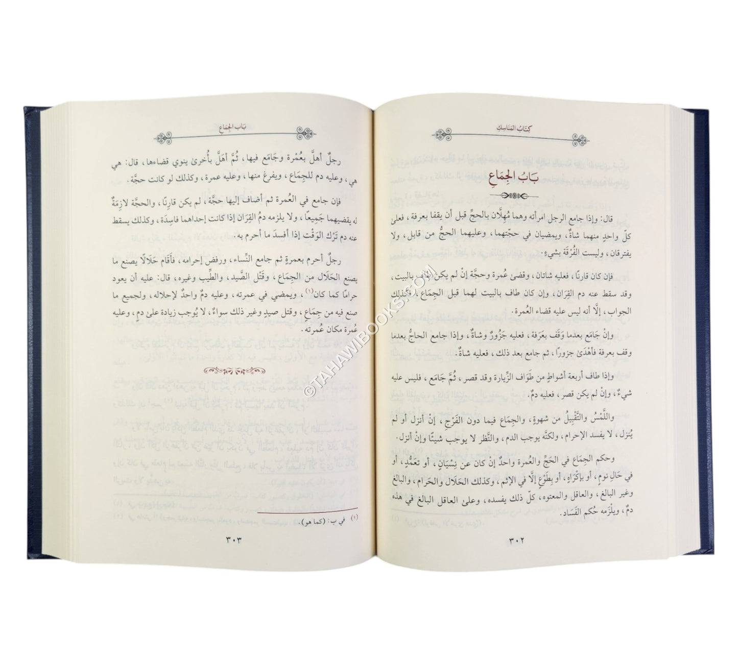 المختصر الكافي للحاكم الشهيد