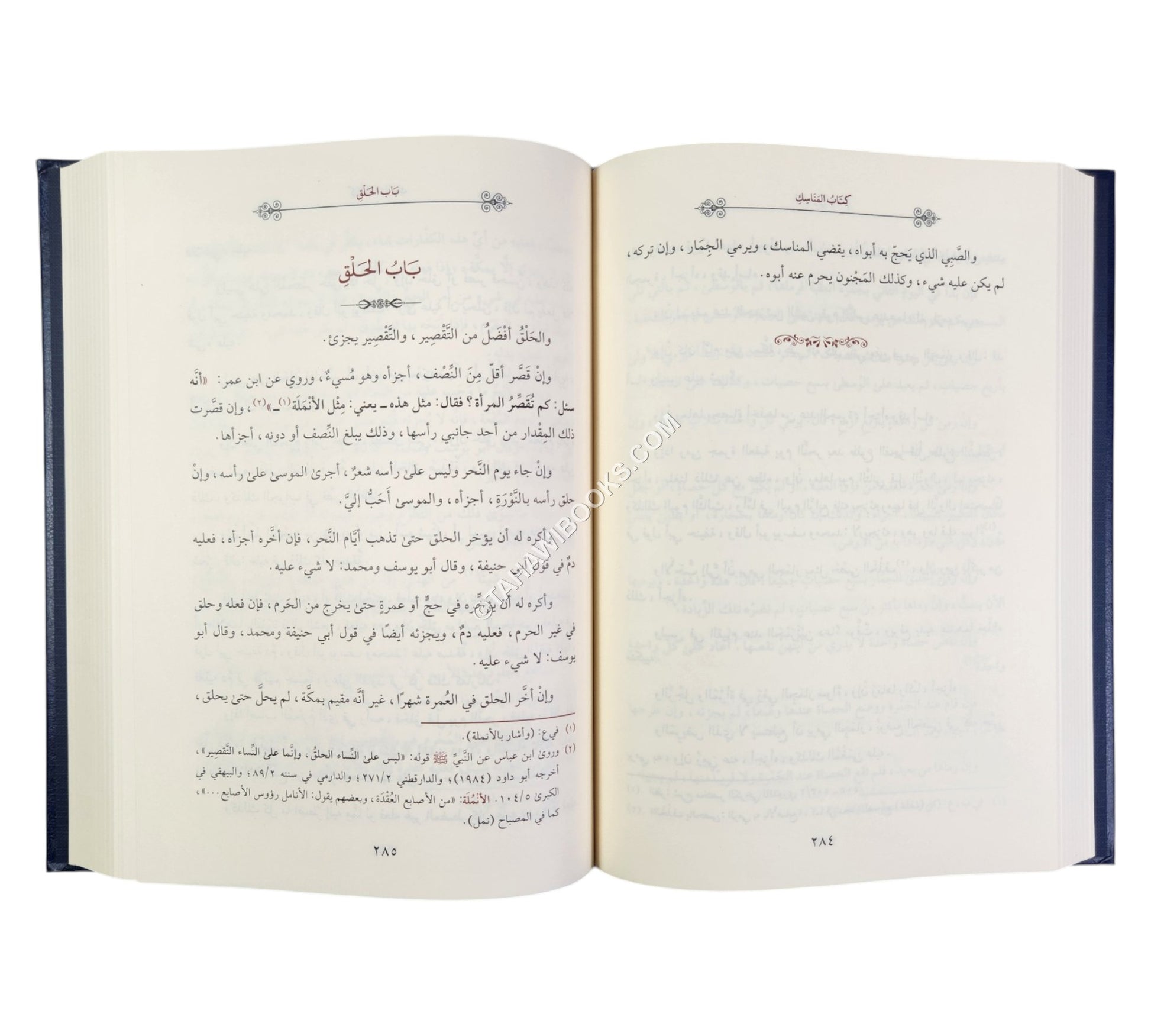 المختصر الكافي للحاكم الشهيد