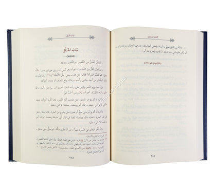المختصر الكافي للحاكم الشهيد