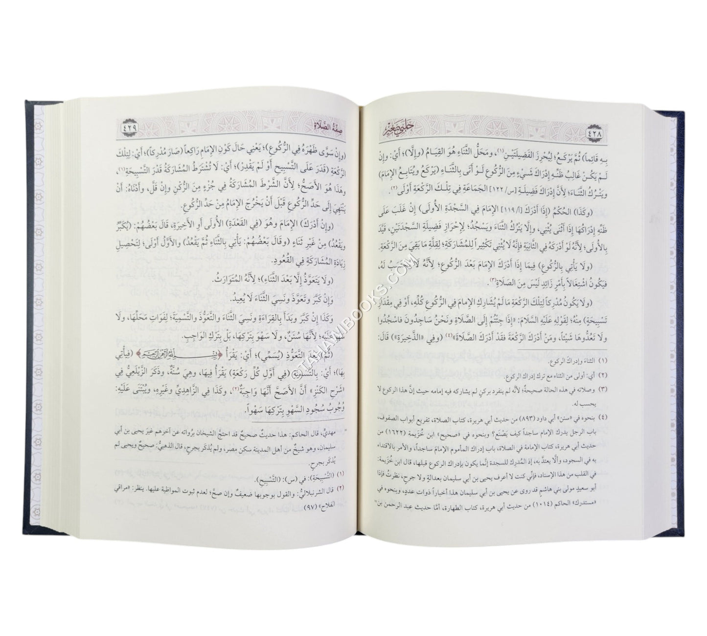 حلبي صغير :مختصر غنية المتملي-السراج