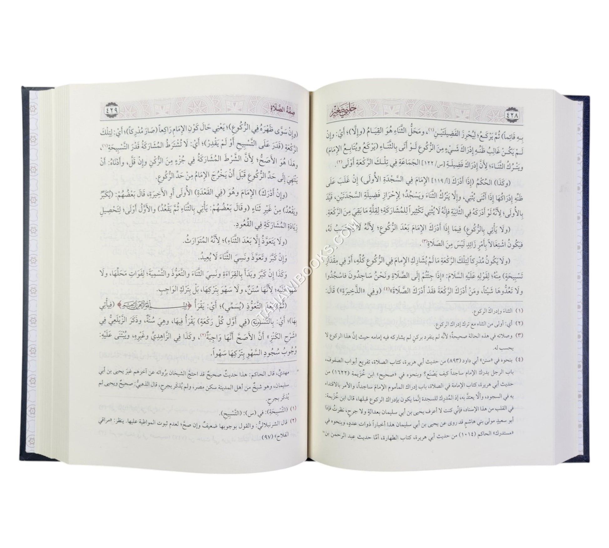 حلبي صغير :مختصر غنية المتملي-السراج