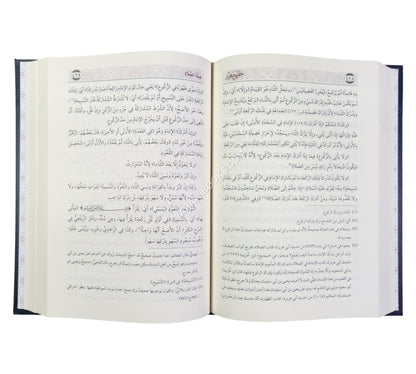 حلبي صغير :مختصر غنية المتملي-السراج