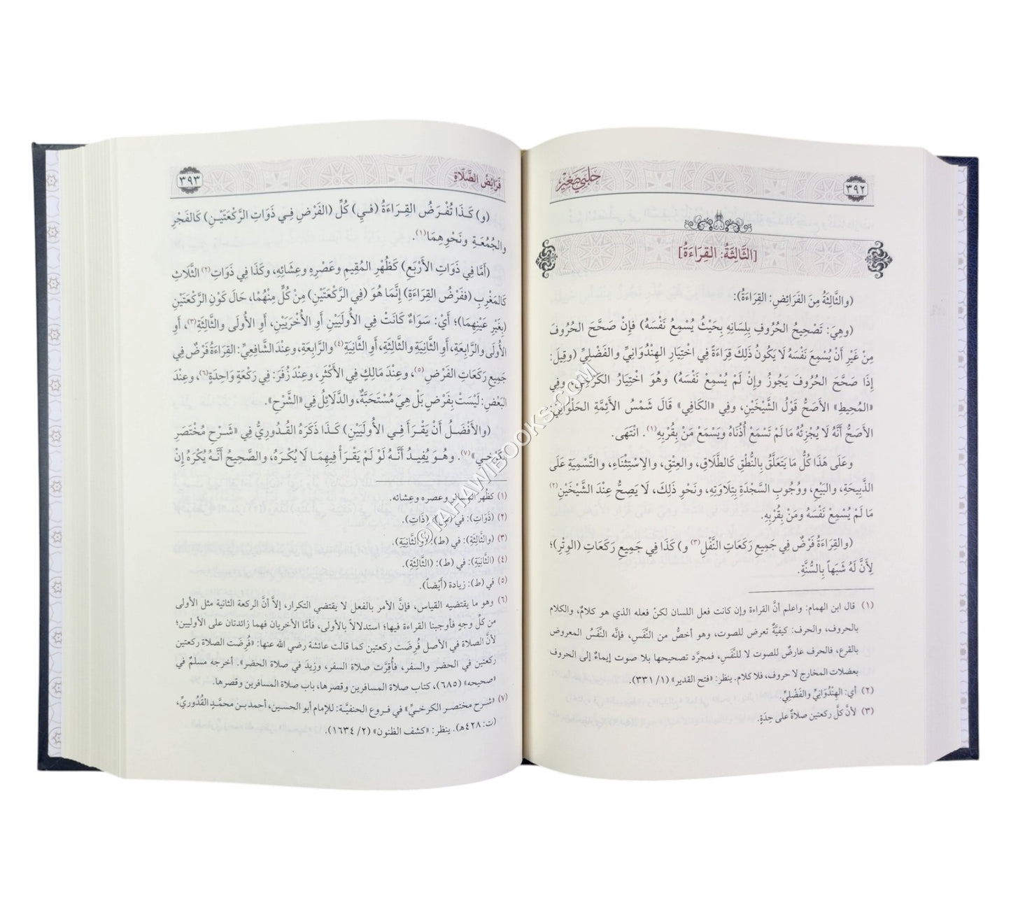 حلبي صغير :مختصر غنية المتملي-السراج