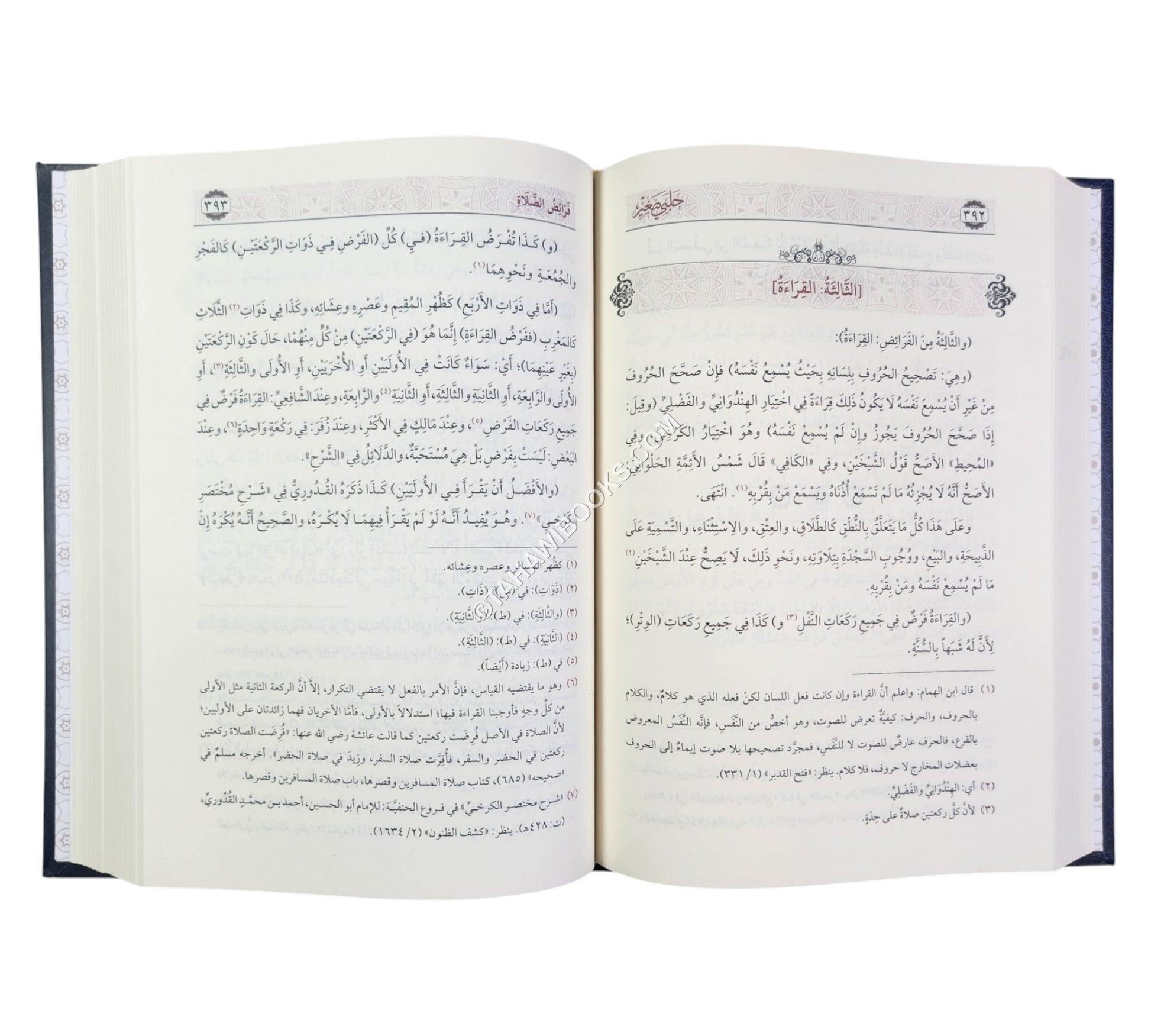 حلبي صغير :مختصر غنية المتملي-السراج