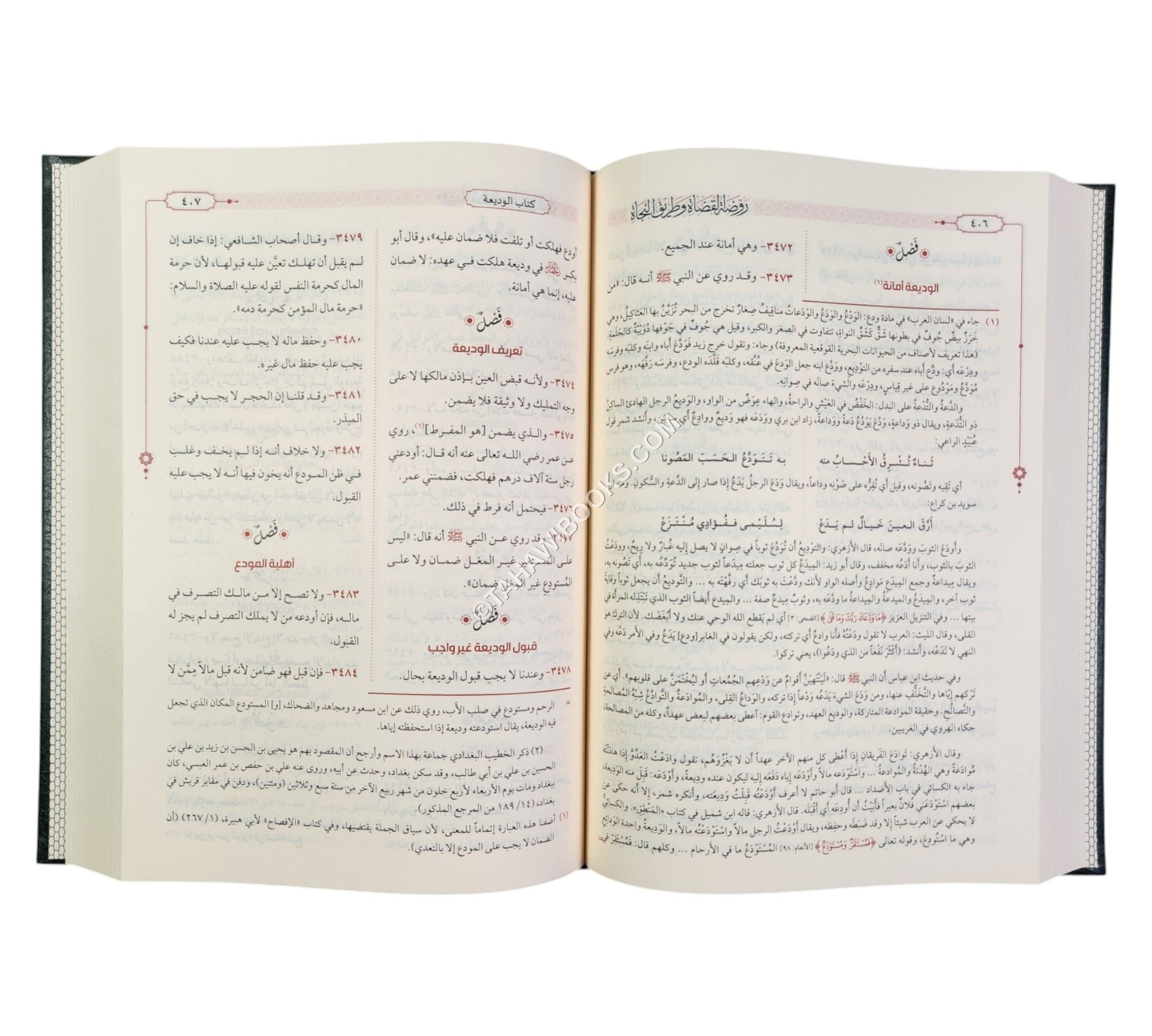روضة القضاة وطريق النجاة-الرسالة ناشرون