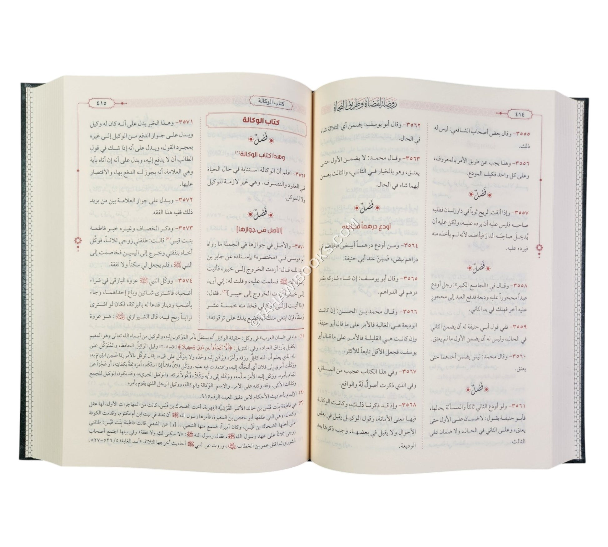روضة القضاة وطريق النجاة-الرسالة ناشرون