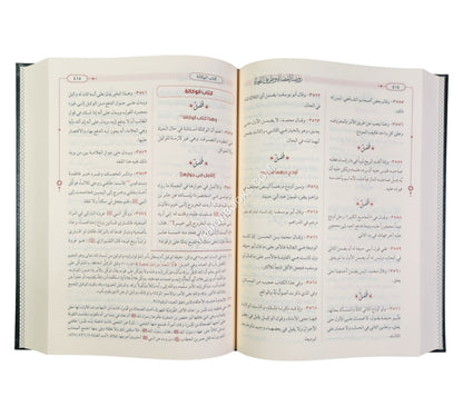 روضة القضاة وطريق النجاة-الرسالة ناشرون