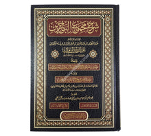 شرح مجمع البحرين لابن ملك