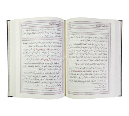 الإبتهاج بحواشي المنهاج