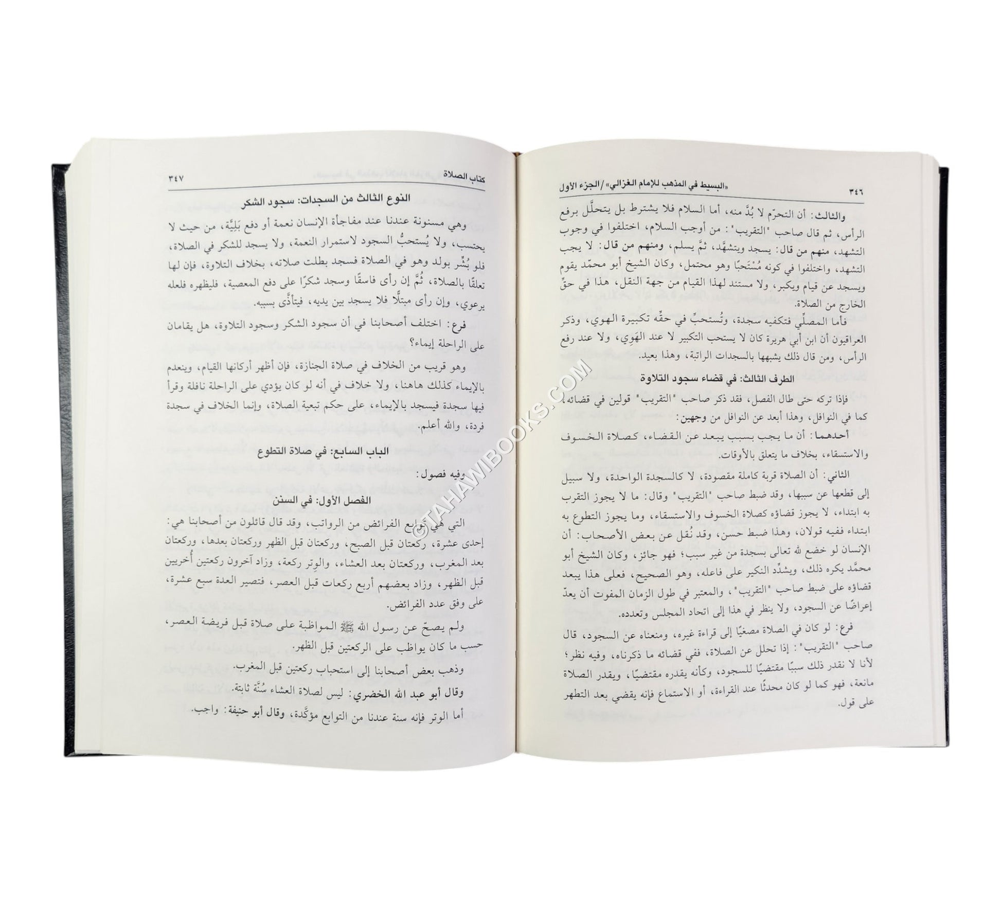 البسيط في المذهب