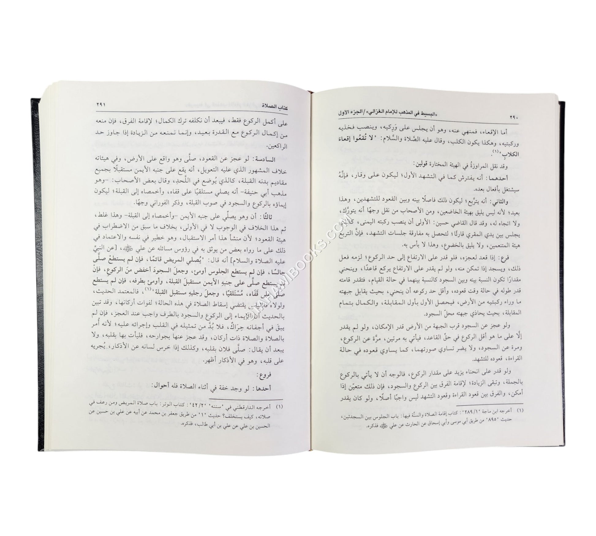 البسيط في المذهب