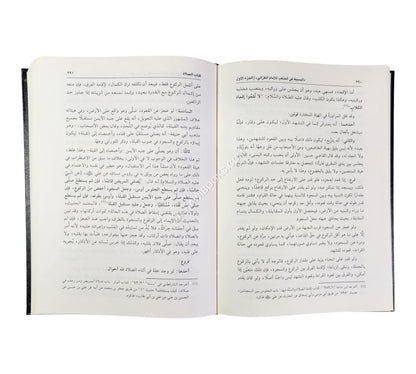 البسيط في المذهب