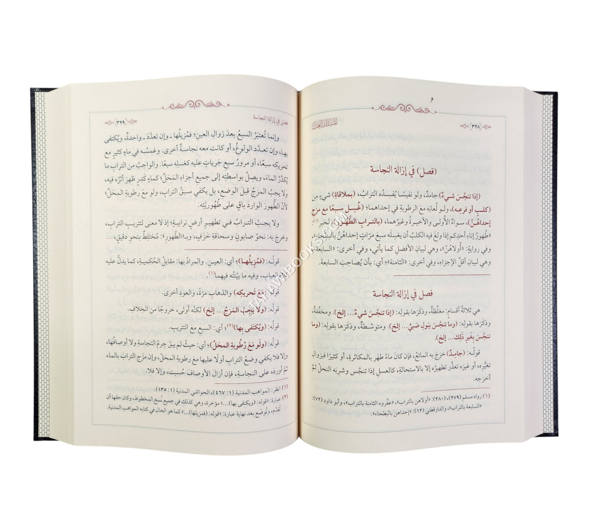 المسلك العدل على شرح مختصر بأفضل