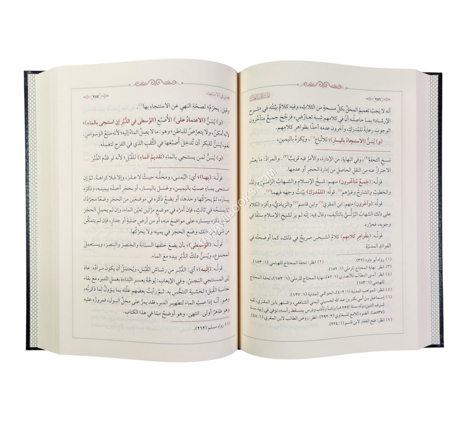 المسلك العدل على شرح مختصر بأفضل