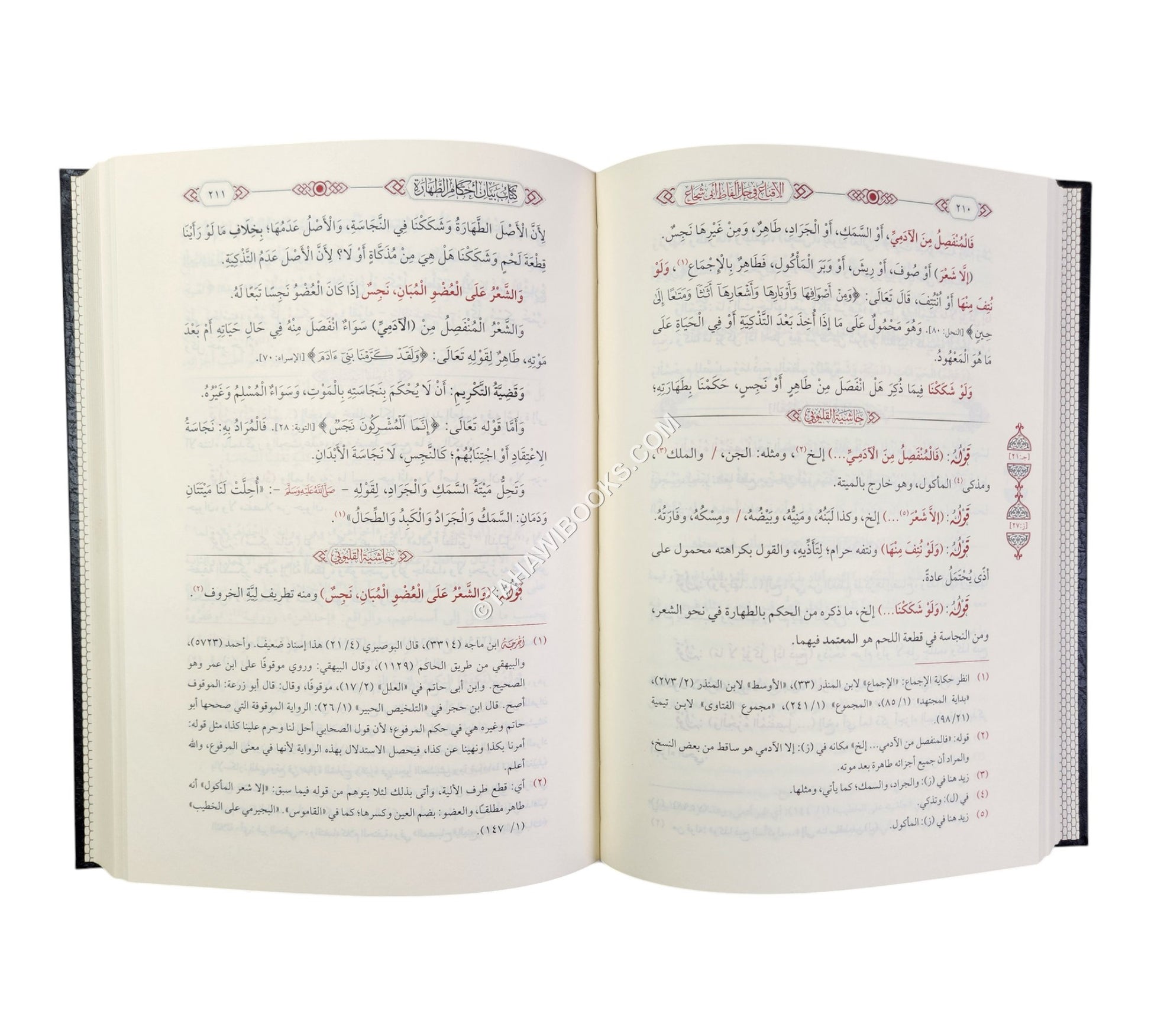 حاشية القليوبي علي الاقناع في حل الفاظ ابي شجاع
