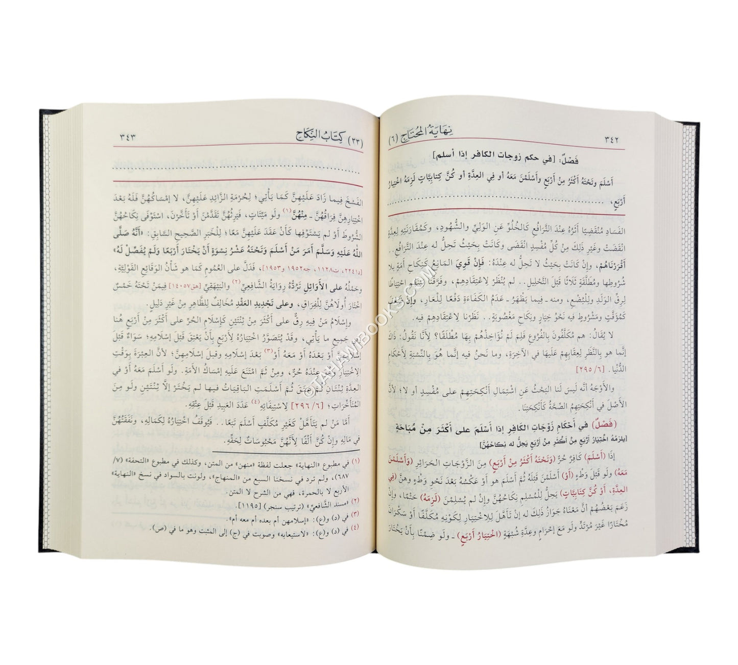 نهاية المحتاج إلى شرح المنهاج-الفيحاء