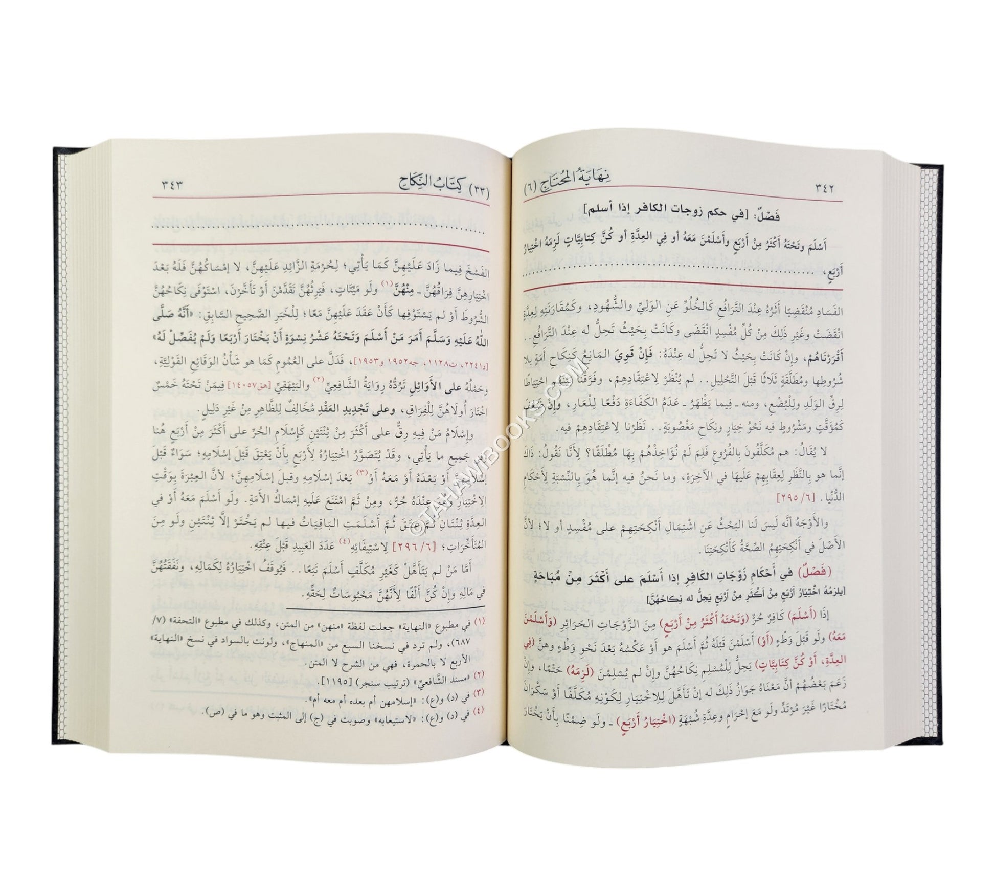 نهاية المحتاج إلى شرح المنهاج-الفيحاء