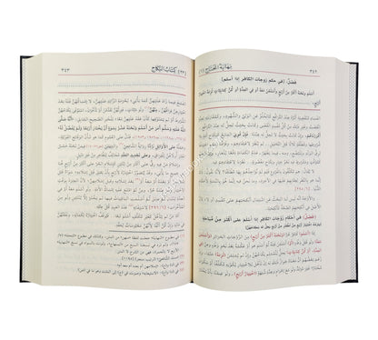 نهاية المحتاج إلى شرح المنهاج-الفيحاء