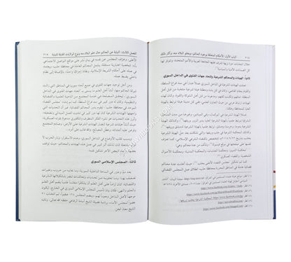 الأحكام الفقهية المتعلقة بخلو البلاد من الحاكم وتطبيقاتها المعاصرة (النوازل الفقهية في مناطق الصراع)
