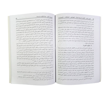 المدخل إلى فقه الأقليات