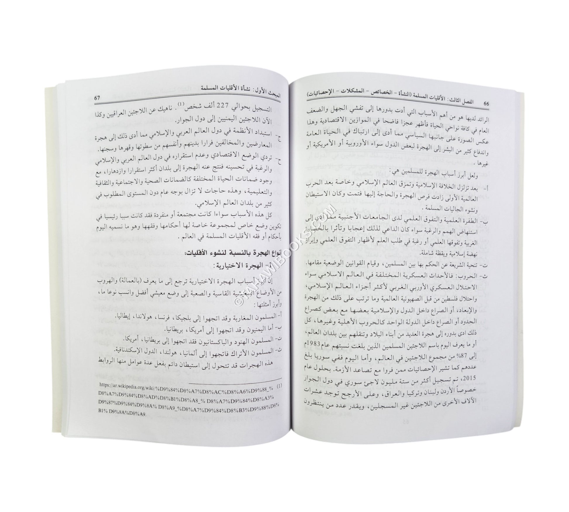 المدخل إلى فقه الأقليات