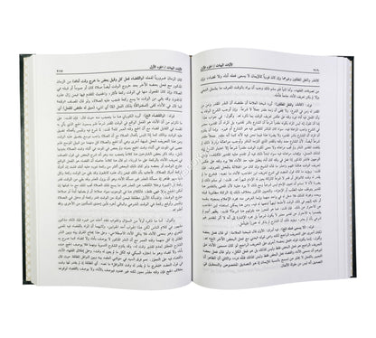 الآيات البينات على شرح جمع الجوامع