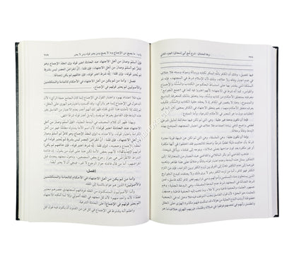 نزهة المشتاق شرح لمع الشيخ أبي إسحاق الشيرازي
