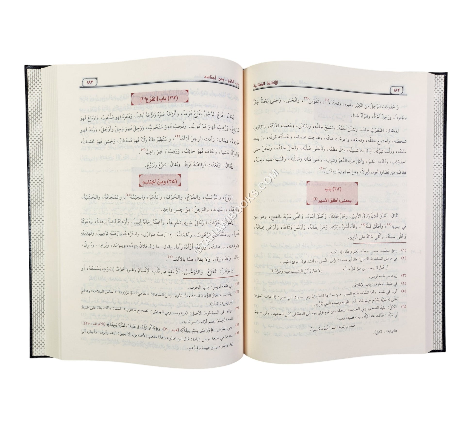 الألفاظ الكتابية في علم العربية