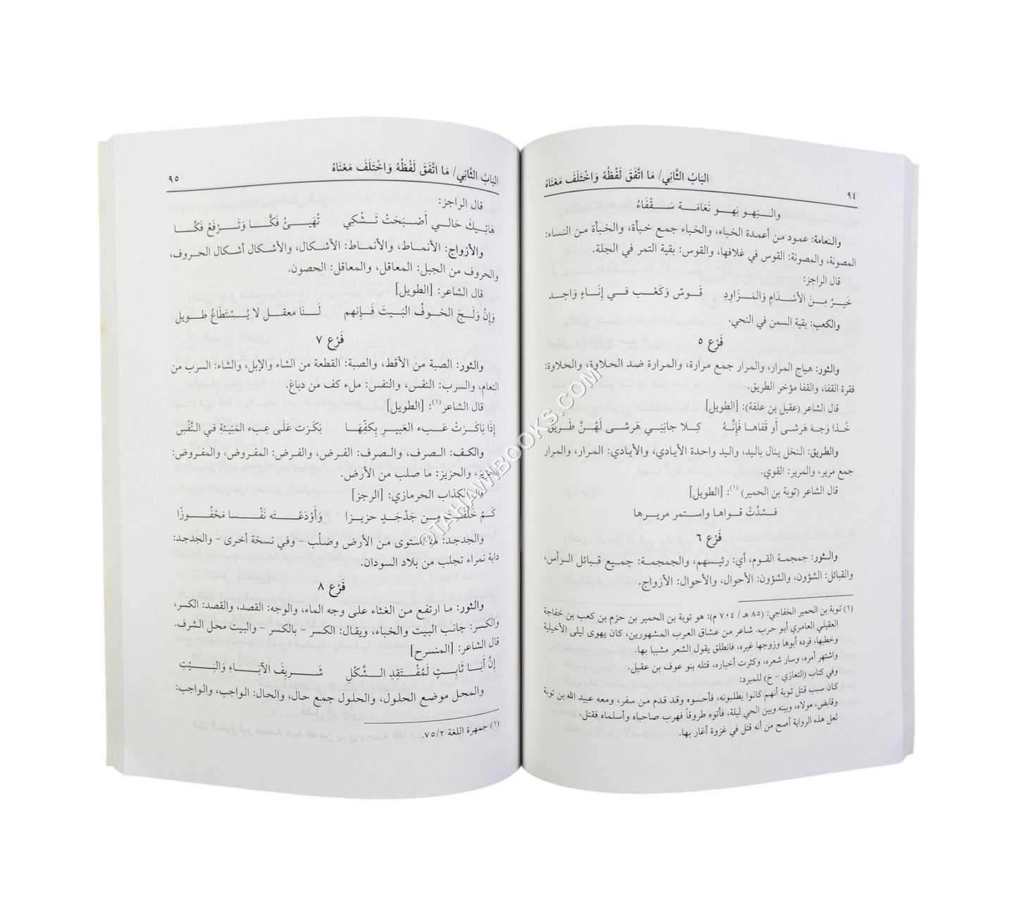 إتفاق المباني وافتراق المعاني (وهو كتاب لغوي يبحث في مباني ومعاني الألفاظ)