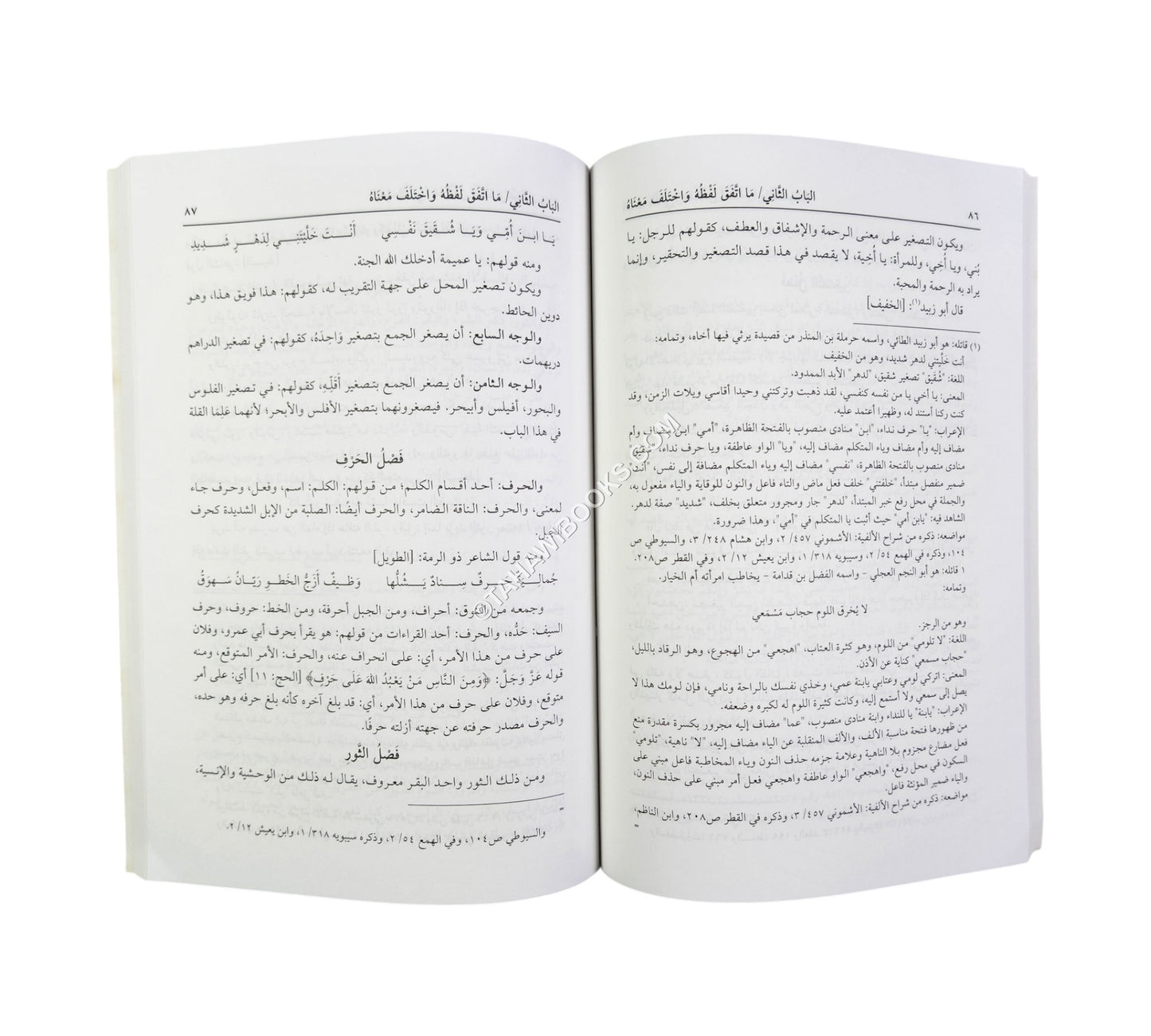 إتفاق المباني وافتراق المعاني (وهو كتاب لغوي يبحث في مباني ومعاني الألفاظ)