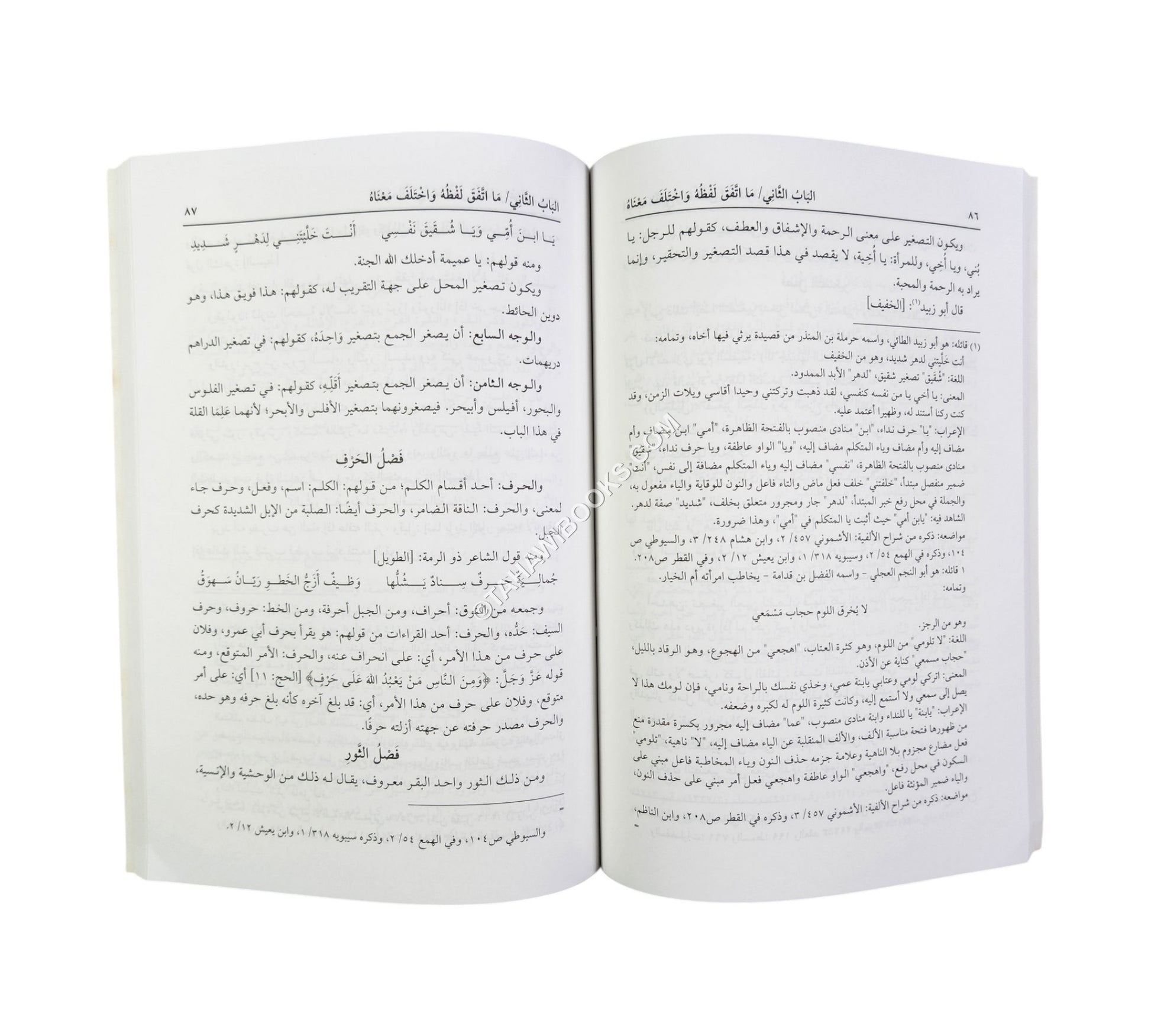 إتفاق المباني وافتراق المعاني (وهو كتاب لغوي يبحث في مباني ومعاني الألفاظ)