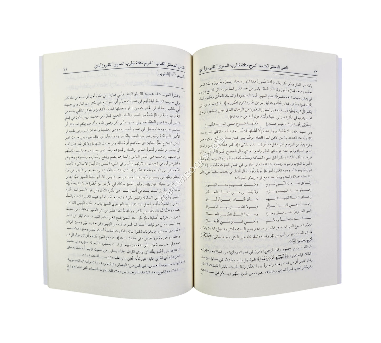شرح مثلثة قطرب النحوي