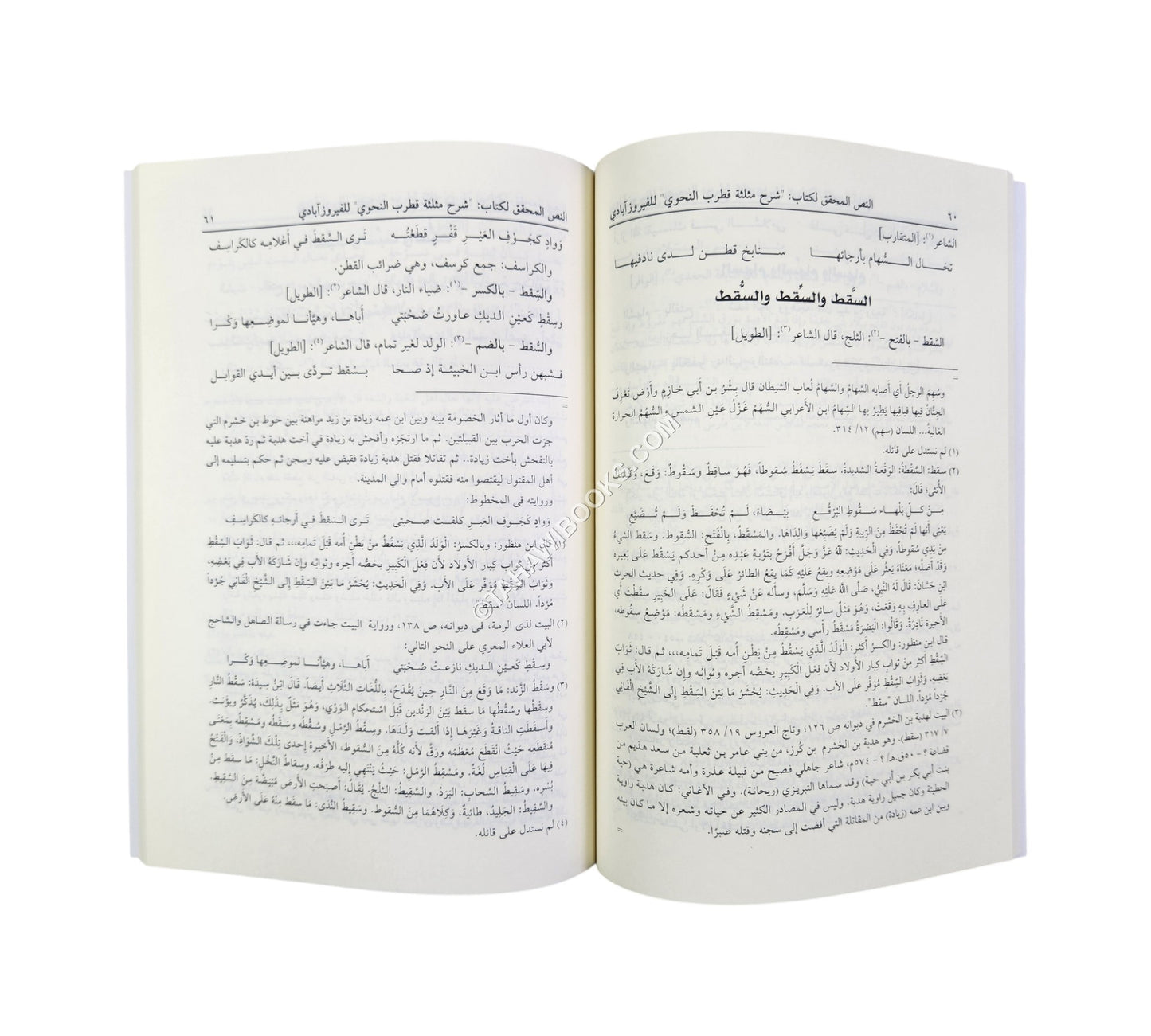 شرح مثلثة قطرب النحوي