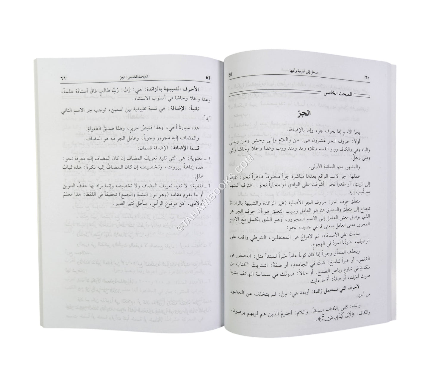 مدخل الى العربية وآدابها للجامعيين