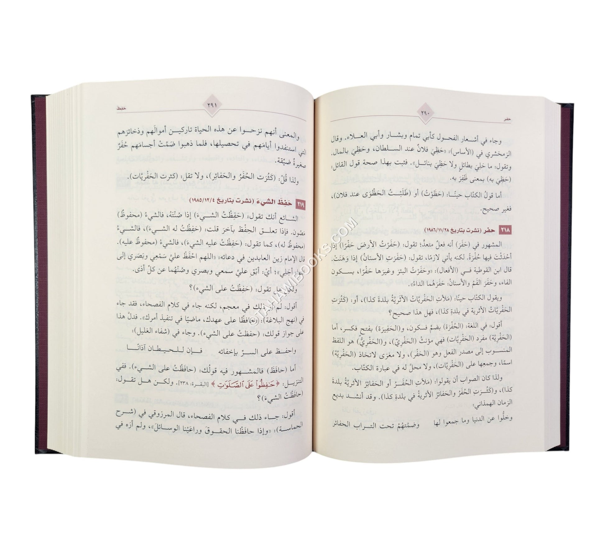 معجم أخطاء الكتاب