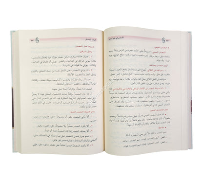 الأساس في علم النحو