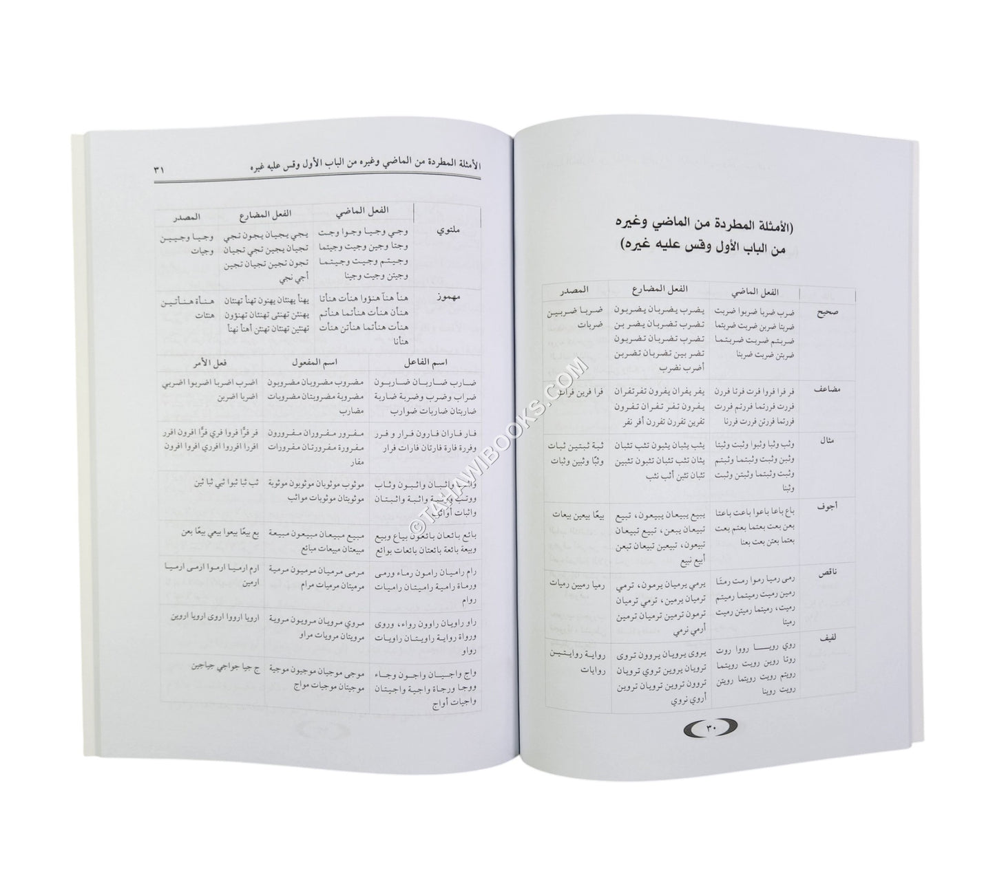 السلسل المدخل في علم الصرف