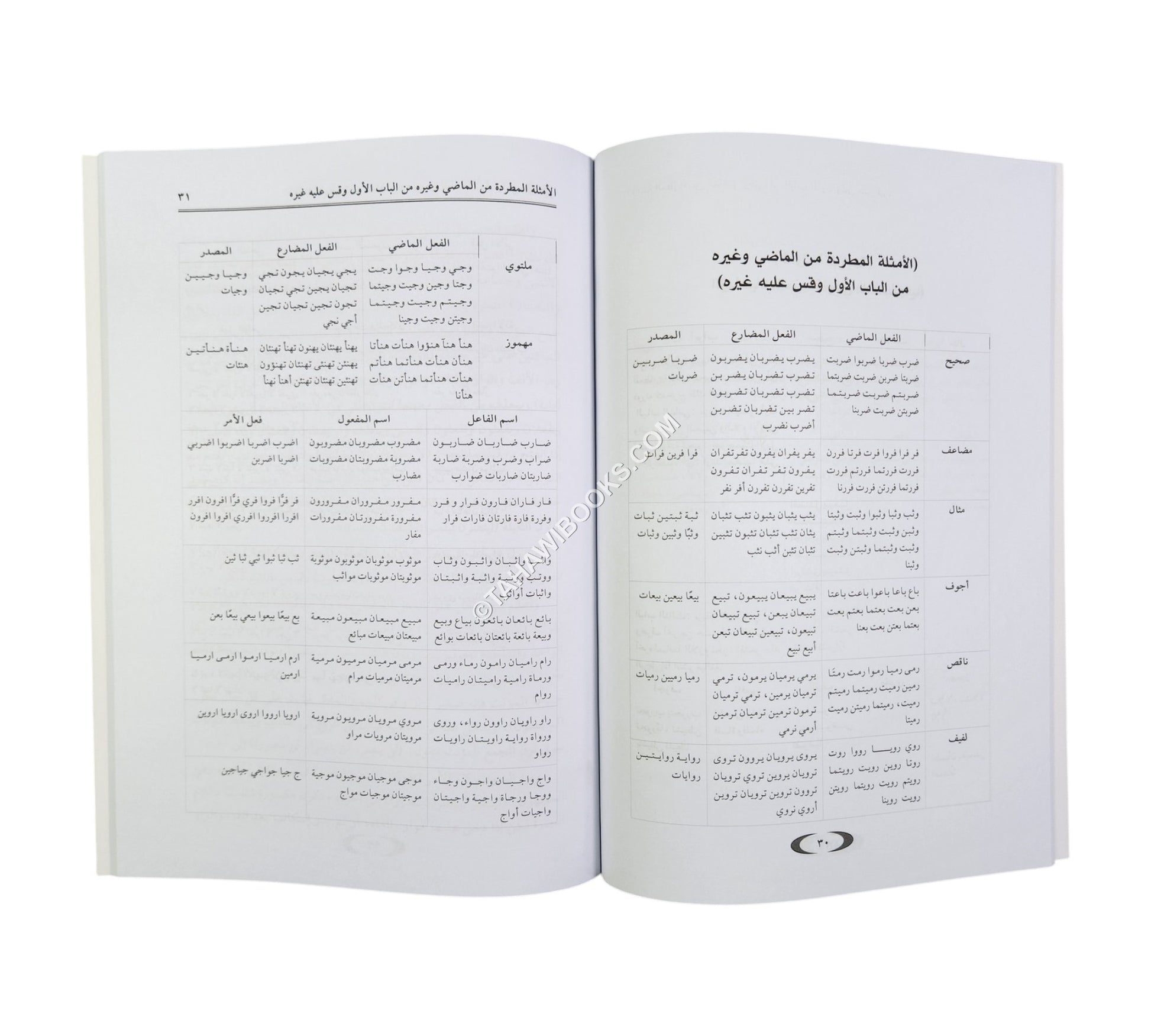 السلسل المدخل في علم الصرف