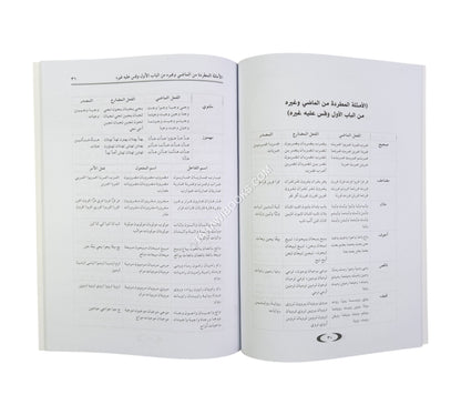السلسل المدخل في علم الصرف