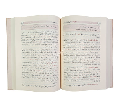 الكافية لابن الحاجب مع الوافية في معرفة ما الكافية