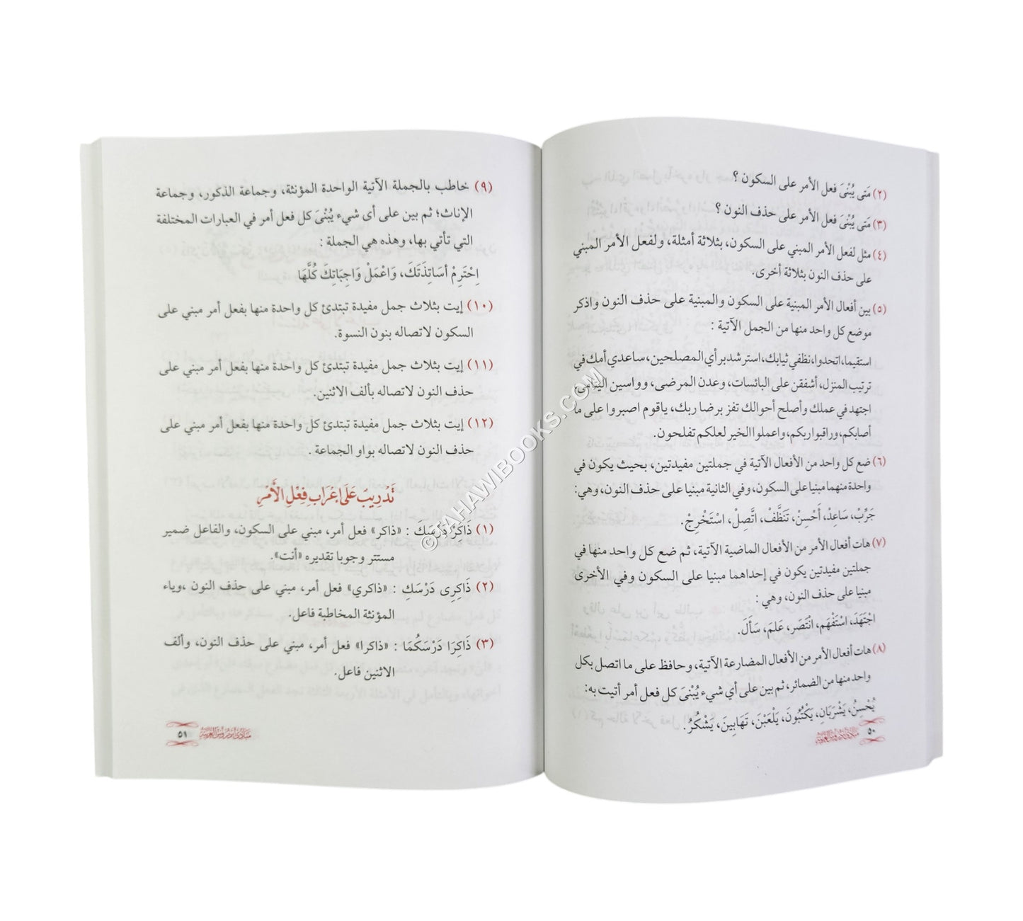 مبادئ دروس العربية