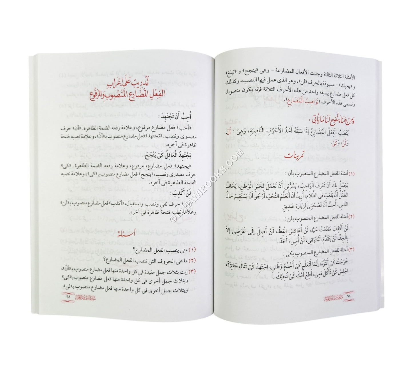 مبادئ دروس العربية
